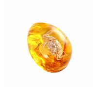 Amber Fossil with Insects Samples Stones Crystal Specimens Insect Specimen Amber Pendant DIY Jewelry Pendant(Ambra-Granchio)