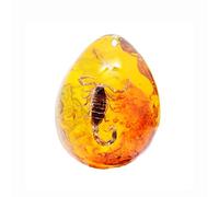 Amber Fossil with Insects Samples Stones Crystal Specimens Insect Specimen Amber Pendant DIY Jewelry Pendant (Ambra-Scorpione)