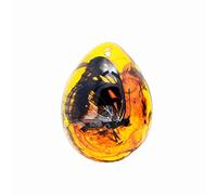 Amber Fossil with Insects Samples Stones Crystal Specimens Insect Specimen Amber Pendant DIY Jewelry Pendant(Ambra-Farfalla)