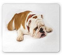 Ambesonne Tappetino per il mouse, motivo: bulldog inglese, bulldog triste e stanco sdraiato su fotografia di animali di razza pura, rettangolare, in gomma antiscivolo, dimensioni standard, marrone