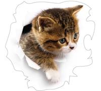 Ambiance - Adesivo da parete per camera da letto, cameretta dei bambini e soggiorno, gatto, con nascondiglio, altezza 85 x larghezza 85 cm