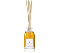 The Olphactory The Olphactory Cedar & Oud diffusore di aromi & 250 ml