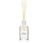 Ambientair The Olphactory Spiced Tangerine 100 ml - Diffusore di aromi