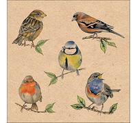 AMBIENTE 20 tovaglioli a forma di uccelli, decorazione da tavolo, tovaglioli di carta con motivo, anche per decoupage e decoupage 33 x 33 cm
