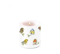 Ambiente Candela a forma di pilastro in cera, 9 cm di altezza, durata circa 35 ore di uccelli, uccelli, serie bird species