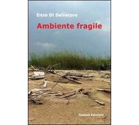 Ambiente fragile