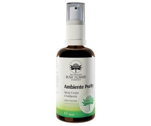 AMBIENTE Purity Spy Amb/Corpo