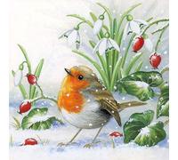 Ambiente tovaglioli Natale Robin
