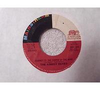 AMBOY DUKES - journey to the center of the mind / rockin' all over the world 45 rpm single