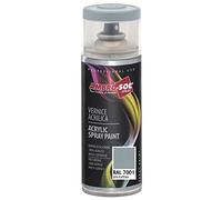 Ambro-Sol V4007001 Smalto Acrilico Multiuso, Vernice Brillante per Interni ed Esterni, Adatto per Qualsiasi Tipo di Materiale, Bomboletta Spray in Banda Stagnata Riciclabile 400 ml, Grigio Argento