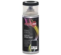 Ambro-Sol V4007021 Smalto Acrilico Multiuso, Vernice Brillante per Interni ed Esterni, Adatto per Qualsiasi Tipo di Materiale, Bomboletta Spray in Banda Stagnata Riciclabile 400 ml, Grigio Nerastro