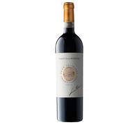 Ambrogio e Giovanni Folonari Tenuta di Nozzole Chianti Classico Gran Selezione DOCG 2020 0,75 ℓ