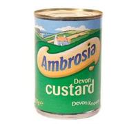 Ambrosia Crema pasticcera Devon 12x425g