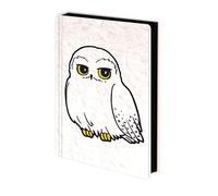 AMBROSIANA Premium A5 Notebook (Hedwig) Fluffy