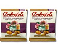 Ambrosoli miele e propoli con echinacea e rosa canina (Confezione da 2)