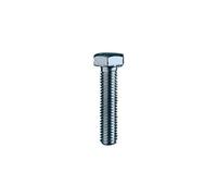 AMBROVIT SPA - Viti 5739/8.8 Fe / Zin Te 12x 70
