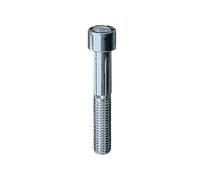AMBROVIT SPA - Viti 5931/8.8 Fe / Z. Tcce 5x 40
