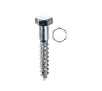 AMBROVIT SPA VITI MORD. FE/ZIN 704 TE 6X 40
