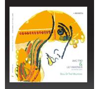 AMC Trio - Soul of the Mountain