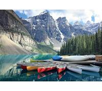 AMCJJ 1000 pezzi di puzzle, 1000 pezzi di puzzle per adulti, regalo di anniversario, regalo di Natale, decorazione della casa, prevenzione della degenerazione cerebrale negli anziani,