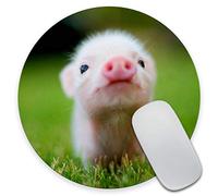 Amcove Baby Pig Tappetino per mouse rotondo con maiale, accessorio da scrivania, tappetino per mouse, decorazione per ufficio, regalo maiale, decorazione per casa colonica, decorazione maiale,