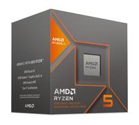 AMD Ryzen 5 8600G Boxed