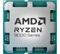 AMD Ryzen 5 9600X Vassoio