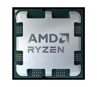 AMD Ryzen 7 7700X processore 4,5 GHz 32 MB L3 Vassoio (AMD AM5 Ryzen 7 7700X Tra