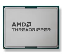 AMD Ryzen Threadripper 9960X processor 4.2 GHz 128 MB L3 Tray
