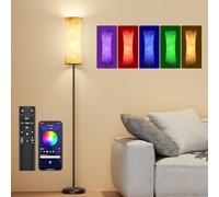 Amedelne RGBW Lampada da Terra Soggiorno, Piantana Modern Intelligente, 12W Lampada da Terra Dimmerabile con Telecomando, in Tessuto, Luce Ambiente per Festa, Gaming Room Camera-Cerchio