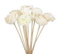 AMEEDA Bastoncini per Diffusori 1 Set di Bastoncini Rattan for Fiori, diffusori fragranze Senza Fuoco, Ornamenti Fai da Te, Decorazioni for la casa