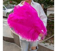 AMEEDA Piume di Struzzo 10 Pezzi di Piume Struzzo 15-55 cm Bianco Rosa Nero pennacchi for la Decorazione della Festa Nuziale Artigianato Fai da Te Materiale Lampada(Rose Red,25-30cm)