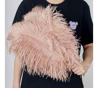 AMEEDA Piume di Struzzo 10 Pezzi di Piume Struzzo 15-55 cm Bianco Rosa Nero pennacchi for la Decorazione della Festa Nuziale Artigianato Fai da Te Materiale Lampada(Pink2,40-45cm)