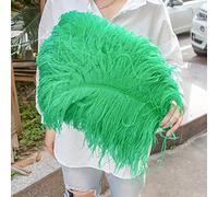 AMEEDA Piume di Struzzo 10 Pezzi di Piume Struzzo 15-55 cm Bianco Rosa Nero pennacchi for la Decorazione della Festa Nuziale Artigianato Fai da Te Materiale Lampada(Grass Green,40-45cm)