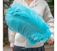 AMEEDA Piume di Struzzo 10 Pezzi di Piume Struzzo 15-55 cm Bianco Rosa Nero pennacchi for la Decorazione della Festa Nuziale Artigianato Fai da Te Materiale Lampada(Sky Blue,50-55cm)