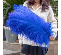 AMEEDA Piume di Struzzo 10 Pezzi di Piume Struzzo 15-55 cm Bianco Rosa Nero pennacchi for la Decorazione della Festa Nuziale Artigianato Fai da Te Materiale Lampada(Blue,30-35cm)