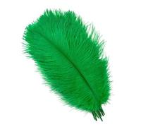 AMEEDA Piume di Struzzo 10 pz/Set Piume di Struzzo Bianche for L'artigianato Gioielli Fai da Te Decorazione della Casa Centrotavola Tavola Nozze(40 Grass Green,45-50cm 18-20inch)