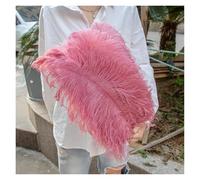 AMEEDA Piume di Struzzo Piume di Struzzo Bianche Naturali 10 Pezzi 12-14 Pollici for Bouquet da Sposa centrotavola Costume Carnevale Accessori pennacchi(Dark Leather Pink,20-25cm 8-10inch)