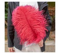 AMEEDA Piume di Struzzo Piume di Struzzo Bianche Naturali 10 Pezzi 12-14 Pollici for Bouquet da Sposa centrotavola Costume Carnevale Accessori pennacchi(Color21,25-30cm 10-12inch)