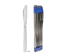 Amefa Pradel Essentiel Baltics Coltelli Tavola Inox, 20.6 cm, Set da 12 | Set di 12 coltelli da tavolo 206 mm, acciaio inox 18/0, finitura standard, adatti alla lavastoviglie