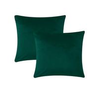 AMEHA Set da 2 Federa per cuscino in velluto, 45 x 45cm, quadrata, per camera da letto, con cerniera invisibile, federe decorative per cuscini per divano (Verde Smeraldo)