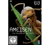 Ameisen - Die heimliche Weltmacht