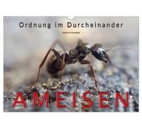 Ameisen - Ordnung im Durcheinander (Wandkalender 2027 DIN A3 quer), CALVENDO Mon