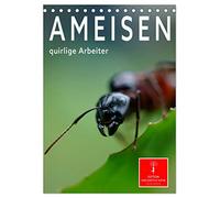 Ameisen quirlige Arbeiter (Tischkalender 2026 DIN A5 hoch), CALVENDO Monatskalender: Eindrucksvolle Bilder der Hautflügler, die in perfekt organisierten Staaten leben.