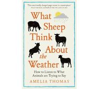 Amelia Thomas What Sheep Think About the Weather (Copertina rigida)