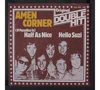 AMEN CORNER - if paradise is half as nice / high in the sky 45 rpm single