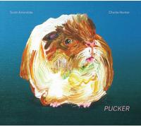 Amendola, Scott & Charlie Hunter - Pucker