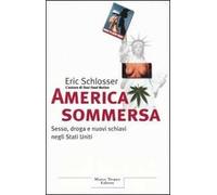 America sommersa. Sesso, droga e nuovi schiavi negli Stati Uniti