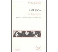 America. Un diario visivo. Ediz. illustrata