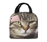 American Cat USA Flag Lunch Bag Riutilizzabile Portatile Lunch Box A Prova Di Perdite Isolato Cooler Lunch Tote Bag Con Tasca Frontale Per Donne Uomini Viaggi Picnic Ufficio Lavoro